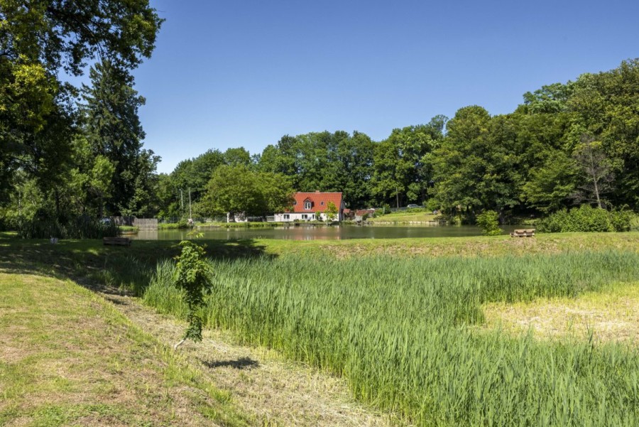 Błotnica, Wójcin, Dom po remoncie | ponad 2ha | STAW RYBNY | LAS